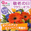 e87.com(株式会社千趣会イイハナ)