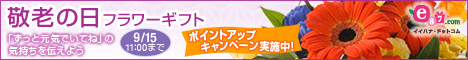 e87.com(株式会社千趣会イイハナ)