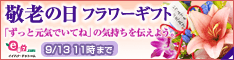e87.com(
株式会社千趣会イイハナ)