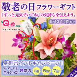 �y2008�N�t�i�p���̔��j���f���zFMV-BIBLO LOOX U�V���[�Y