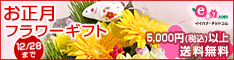 e87.com�i������А���C�C�n�i�j