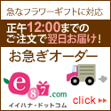 e87.com（株式会社千趣会イイハナ）