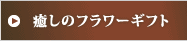 �����̃t�����[�M�t�g