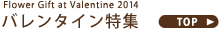 Flower Gift at Valentine �o�����^�C�����W TOP