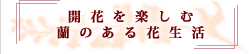 開花を楽しむ蘭のある花生活