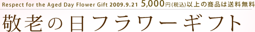 Respect for the Aged Day Flower Gift 2009.9.21 5,000�~�i�ō��j�ȏ�̏��i�͑������� �h�V�̓��t�����[�M�t�g