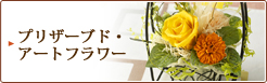 �v���U�[�u�h�E�A�[�g�t�����[