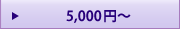 �h�V�̓��v���[���g�E�M�t�g 5,000�~
