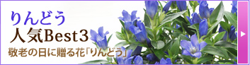 ���ǂ� �l�CBest3 �h�V�̓��ɑ���ԁu���ǂ��v