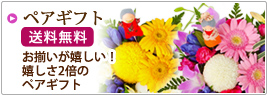 �؃A�M�t�g ���������������I�������Q�{�̃y�A�M�t�g