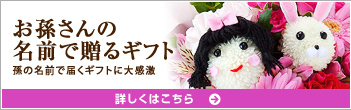 ��������̖��O�ő��� ���̖��O�œ͂��M�t�g�ɑ労��