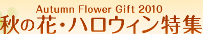 Autumn&nbsp;Flower&nbsp;Gift&nbsp;2010&nbsp;�H�̉ԁE�n���E�B�����W