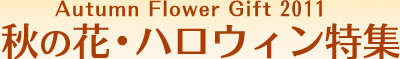 Autumn&nbsp;Flower&nbsp;Gift&nbsp;2011&nbsp;�H�̉ԁE�n���E�B�����W