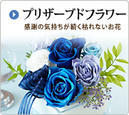 �v���U�[�u�h�t�����[ ���ӂ̋C�����������͂�Ȃ�����