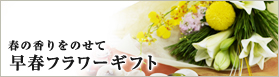 �t�̍�����̂��� ���t�t�����[�M�t�g