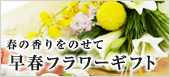 �t�̍�����̂��� ���t�t�����[�M�t�g