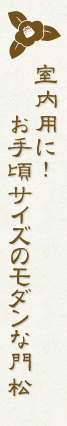 �����p�ɁI���荠�ȃT�C�Y�̃��_���Ȗ叼