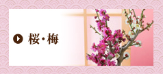 ���E�~