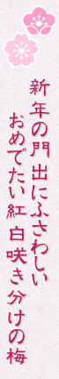 �V�N�̖�o�ɂӂ��炵�����߂ł����g���炫�����̔~