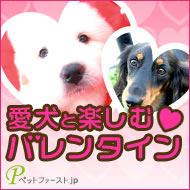 �����Ɗy���ރo�����^�C�����W