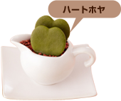 �n�[�g�z��