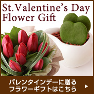 �o�����^�C���f�[�ɑ���t�����[�M�t�g�͂�����