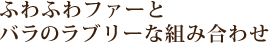�ӂ�ӂ�t�@�[�ƃo���̃��u���[�ȑg�ݍ��킹