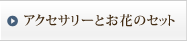 �A�N�Z�T���[�Ƃ��Ԃ̃Z�b�g