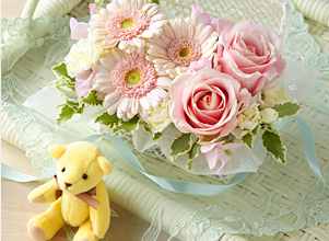 �A�����W�����g�u���u���[�x�A���t�����[BOX�v