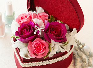 �A�����W�����g�u�h���}�e�B�b�N�E�n�[�g�v