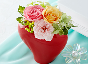�v���U�[�u�h�u���[�Y�E�C���E�n�[�g�v