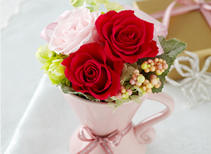 �v���U�[�u�h�u�n�[�e�B�[�E�J�b�v�v