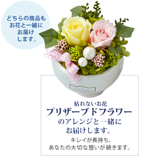 �ǂ���̏��i�����Ԃƈꏏ�ɂ��͂����܂��B�@�͂�Ȃ����� �v���U�[�u�h�t�����[�̃A�����W�ƈꏏ�ɂ��͂����܂��B�L���C���������B���Ȃ��̑�؂ȑz���������܂��B