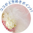 �R�R���Ƃ��߂��|�C���g�I