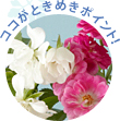 �R�R���Ƃ��߂��|�C���g�I