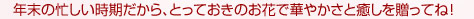 ���Ε�̃R����