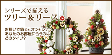 �V���[�Y�ő�����N���X�}�X�c���[&���[�X