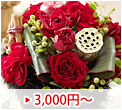3,000�~�`