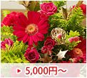 5,000�~�`