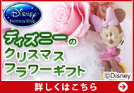 �f�B�Y�j�[�̃N���X�}�X�t�����[�M�t�g