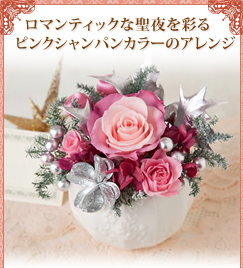 �܂�Ńs���N�F�̃V�����p���I�I�V�����ȏ��F�B�ɂǂ���