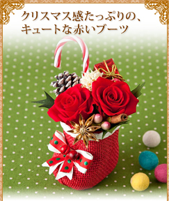 �����ŃN���X�}�X�������Ղ�́A�L���[�g�ȐԂ��u�[�c