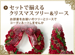 �Z�b�g�ő�����N���X�}�X�c���[&���[�X
���������������̃c���[�ƃ��[�X�ŃR�[�f�B�l�[�g���܂���
