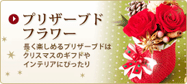 �v���U�[�u�h�t�����[