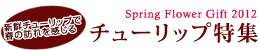 Spring Flower Gift 2012 �`���[���b�v���W�@�Y�n�����I���E�݂ł��͂���