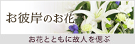 お彼岸の花特集