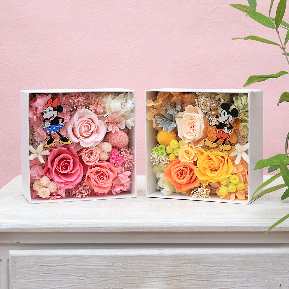 �f�B�Y�j�[/�v���U�[�u�h�t�����[�u�y�A�E�n�s�l�X�E�{�b�N�X�v