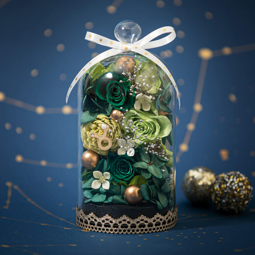 �G�g���[���h�[���`�������`