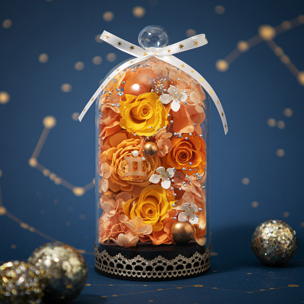 �G�g���[���h�[���`�o�q���`