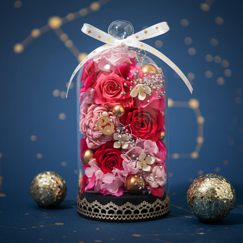 �G�g���[���h�[���`�I���`